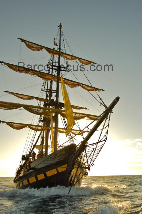 Cabo 780 ficha tecnica 